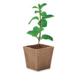 MINT KIT - Image 3