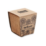 SUNFLOWER KIT - Image 5