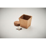 SUNFLOWER KIT - Image 6
