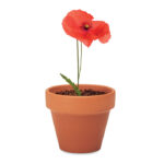 RED POPPY - Image 4