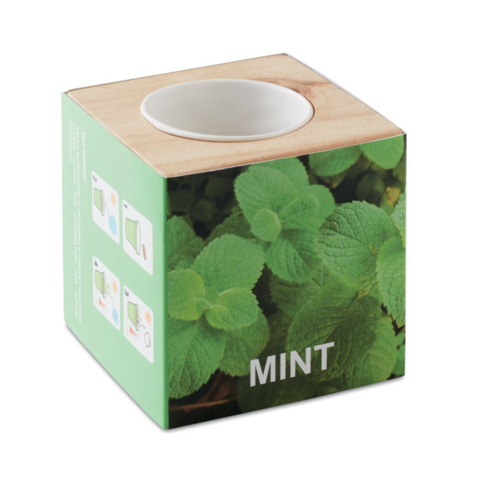 175927169940082 MENTA - Image 1
