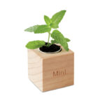 MENTA - Image 3