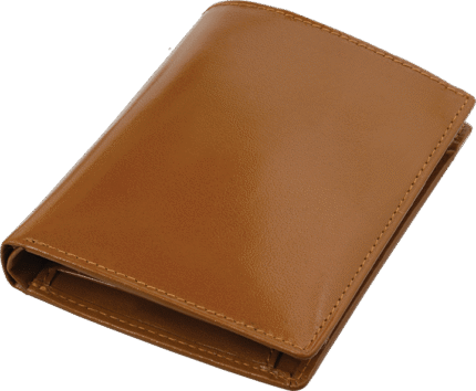 Wallet 31201310