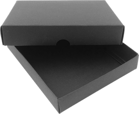 Box (14,5x13,5x2,5cm) 51603701
