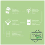 MIYO Renew 700+700 ml double layer lunch box - Image 40