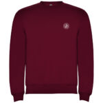 Clasica kids crewneck sweater - Image 254