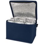 Spectrum 6-can recycled non-woven cooler bag 4L
