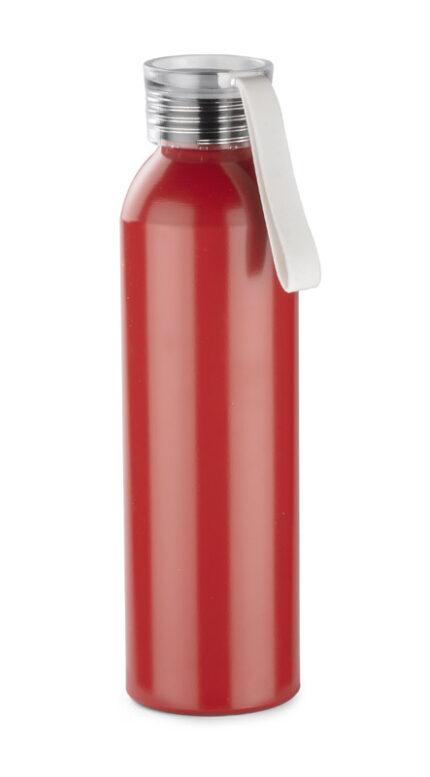Aluminum bottle ALLUMI 650 ml