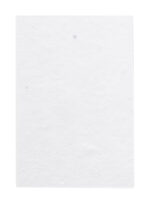 CreaStick Seed Combo A custom sticky notepad - Image 3