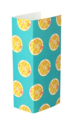 CreaSleeve 213 custom paper sleeve