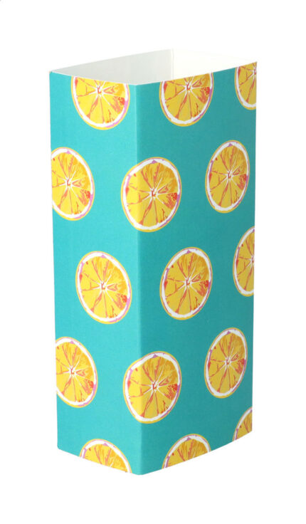 CreaSleeve 213 custom paper sleeve
