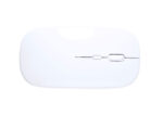 Rabick RABS optical mouse - Image 2