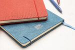 Gracilis RPET notebook - Image 12