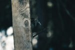 Gear X mini multi tool - Image 10
