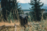 17” outdoor laptop backpack - Image 10