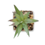 ARTILOE - Image 3